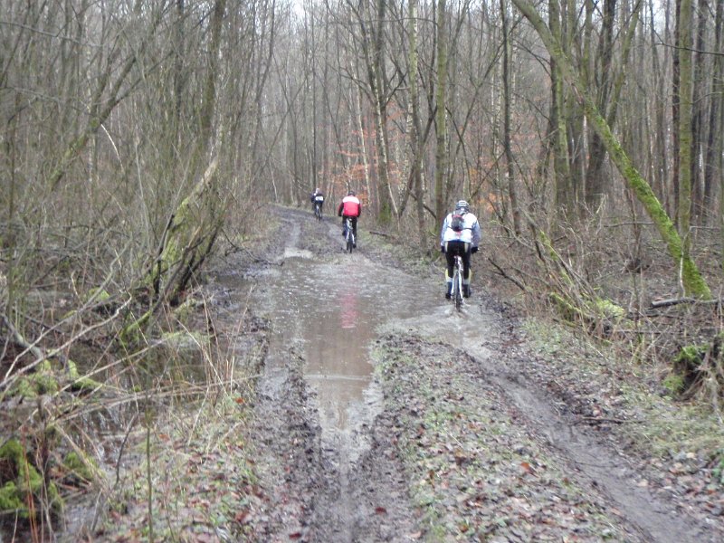 Waldtour 016